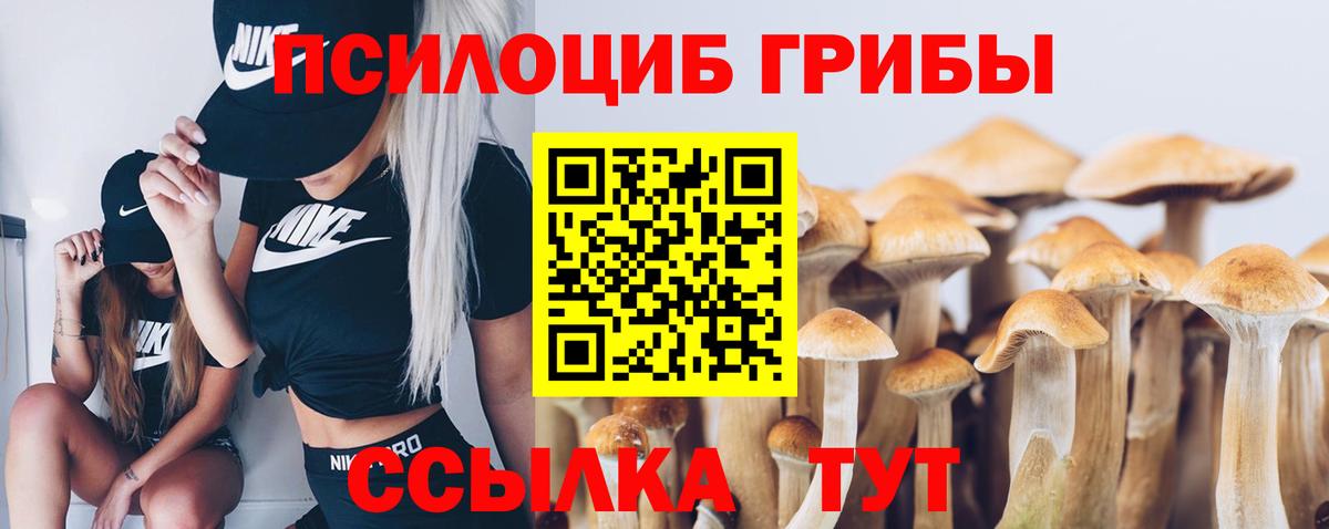 Георгиевск  Псилоцибиновые грибы MAGIC MUSHROOMS  цены наркотик  Вход с VPN  Псилоцибиновые грибы Psilocybe 