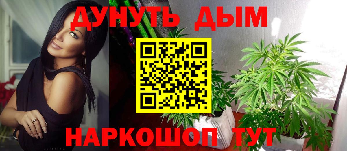 Шишки марихуана OG Kush Георгиевск